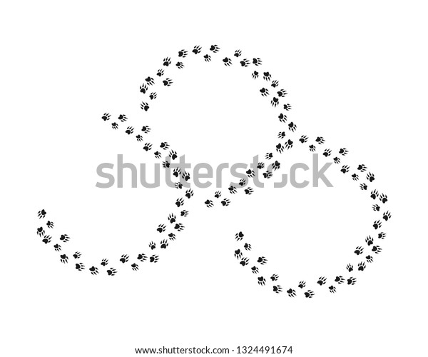 Animal Footprint Background Template Vector Stock Vector (Royalty Free ...