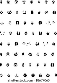 400 Rat footprint Images, Stock Photos & Vectors | Shutterstock