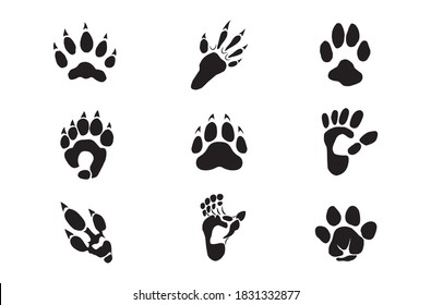 animal footprint collections vector isolated on white.