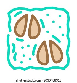 animal footprint color icon vector. animal footprint sign. isolated symbol illustration