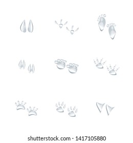 animal footprint different shape of realistic water drops vector isolated on white background, many shape glass bubble drop condensation surface, element design clean drop splash