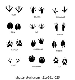 254 Badger footprint Images, Stock Photos & Vectors | Shutterstock