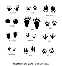 400 Rat footprint Images, Stock Photos & Vectors | Shutterstock