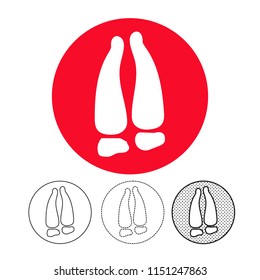 Animal footprint Icon Vector