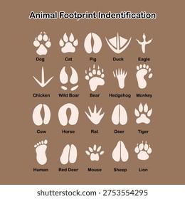 Animal footprint indentification vector design illustration.