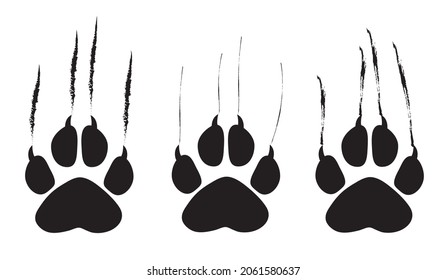 Animal footprint and scratches on white background,  vector illustration
