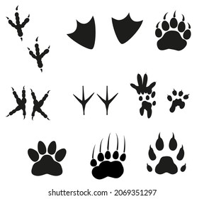 Animal footprint set isolated on white. Vector monochrome black illustration.