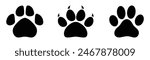 Animal footprint set of three different style foot marks in black color. Black and white sketch of animal footprint vector collection. Paw print of dog, cat, puppy pet footprint, Animal foot print set