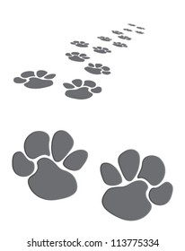 animal footprints