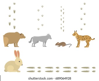 Animal footprints include mammals and birds foot print trace wildlife track steps wild nature silhouette vector