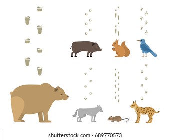 Animal footprints include mammals and birds foot print trace wildlife track steps wild nature silhouette vector