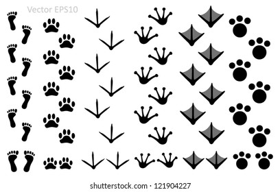 Animal footprints set