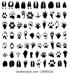 Animal footprints silhouette