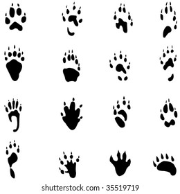 Animal footprints silhouette