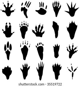 Animal footprints silhouette