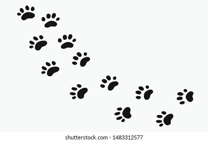 Animal footprints and tracks isolated on white for wildlife concept design. 