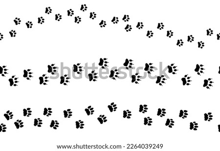 Animal footprints tracks seamless pattern. Cat paws black footprint, various cat, cheetah and tiger track. Decorative kitten elements vector borders