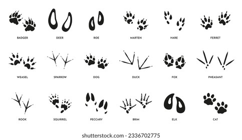 Animal footprints. Wild foot paw prints of different animals, foot silhouette trail of wild bests, dog fox elk ferret and deer paw. Vector isolated set. Domestic pets and wildlife traces svg