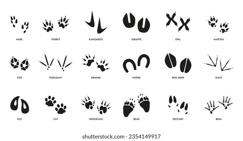 Animal footsteps. Horse fox bear and cat paw track silhouettes, wildlife black footprint icons on white. Vector isolated collection. Different trace shapes in nature, step imprints set