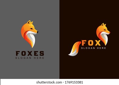 animal fox or foxes logo design two version vector template