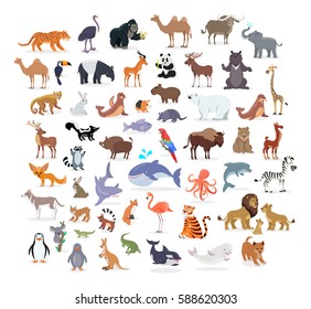 Animal full length portraits collection on white. Vector poster of domestic and wild animals from various countries, lion family, green alligator, colourful parrot on branch, whale splashing water