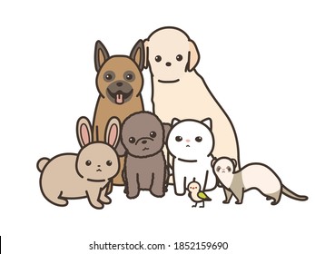 animal gathering, looking at the camera, white background, animal hospital.