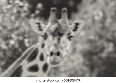 Animal, giraffe portrait, abstract vector low poly background in black and white