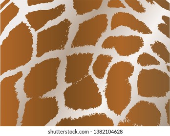Animal giraffe texture  pattern vector