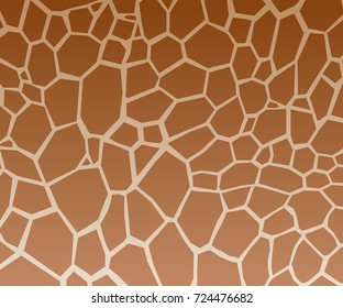 animal giraffe texture spot brown white pattern jungle safari