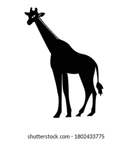animal giraffe vector Africa illustration safari mammal  African cartoon tall