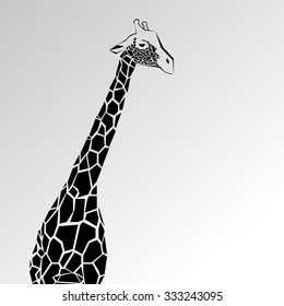 animal giraffe vector africa illustration safari mammal cute african cartoon tall