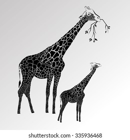 animal giraffe vector africa illustration safari mammal cute african cartoon tall