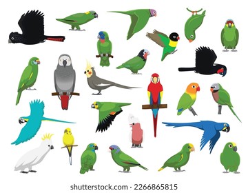Vector de dibujos animados de personajes de Cockatoos