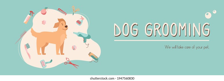 Animal grooming web banner. Pet haircut in cartoon style. Golden Retriever and grooming products, shampoos, wire cutters, combs, scissors. Vector. Landing page isolated on white