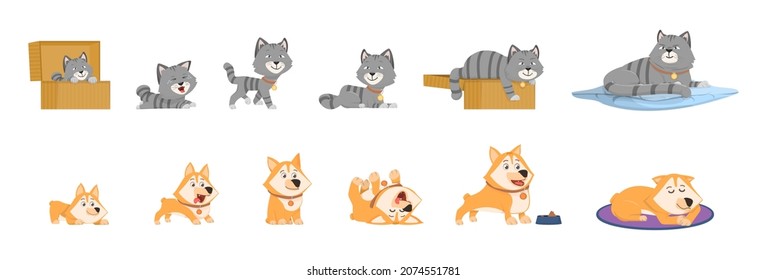 Animal Growth. Small Kitten, Pets Growing Stages. Elderly And Young Pet, Isolated Adorable Cat And Dog Cartoon Characters. Cute Puppy Develop, Decent Vector Set