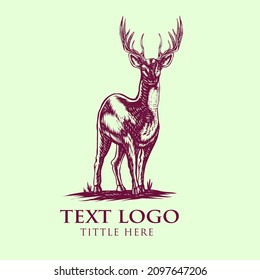 animal hand draw vector illustration