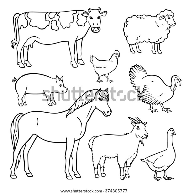 Animal Hand Drawn Vector Set Isolated Stock Vector (Royalty Free ...