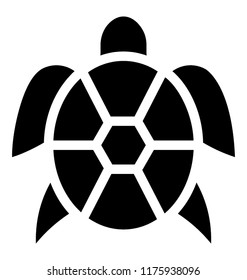 
Animal having hard shell is the icon of sea turtle 
