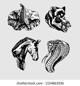 Animal Head Black and white Vector3
