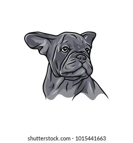 Animal Head - Dog - vector logo/icon illustration mascot