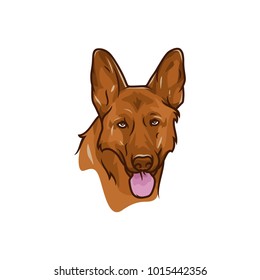 Animal Head - Dog - vector logo/icon illustration mascot