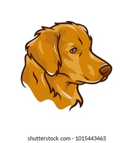 Animal Head - Dog - vector logo/icon illustration mascot