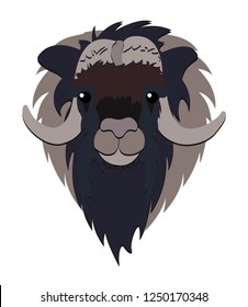 Animal head illustration on white background. Arctic musk ox. Vector muskox clipart.