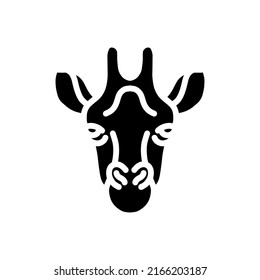 Animal head  animal illustration  zoo and farms animal icons  nature icons