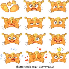 animal head lynx with different emotions