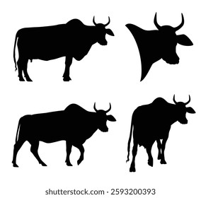 animal head portrait and walking and standing zebu cows - indian farm cattle black and white vector silhouette set