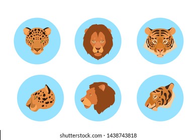Animal head set. Collection of wild animal face front and side view. Lion, tiger and cheetah. Wildlife concept. Isolated vector illustration in cartoon style