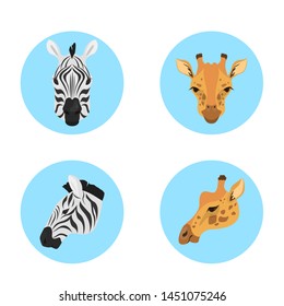 Animal head set. Collection of wild animal face front and side view. Zebra and giraffe. Wildlife concept. Isolated vector illustration in cartoon style