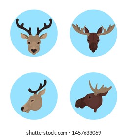 Animal head set. Collection of wild animal face front and side view. Moose and deer. Wildlife concept. Isolated vector illustration in cartoon style