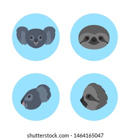 Animal head set. Collection of wild animal face front and side view. Koala and sloth. Wildlife concept. Isolated vector illustration in cartoon style